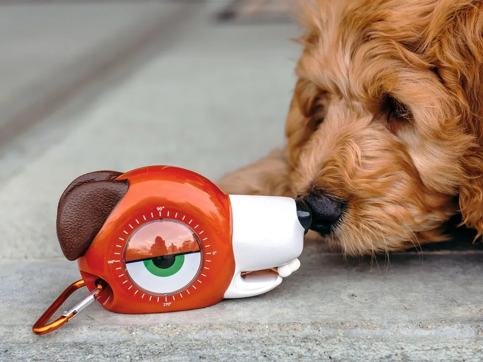 A pup's best friend